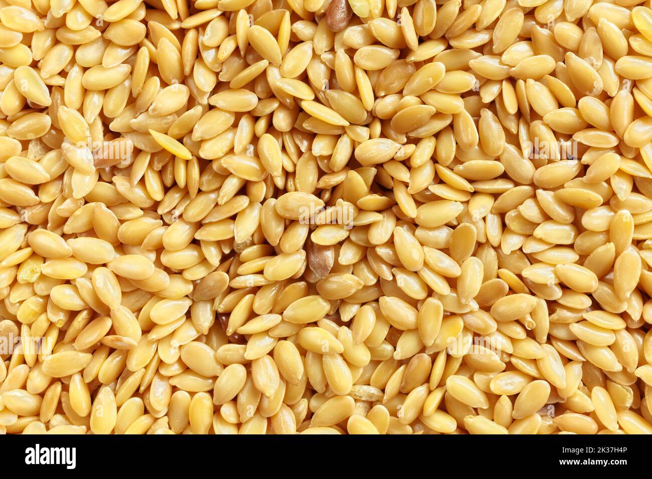 Close up picture of golden flaxseeds, selective focus. Stock Photo