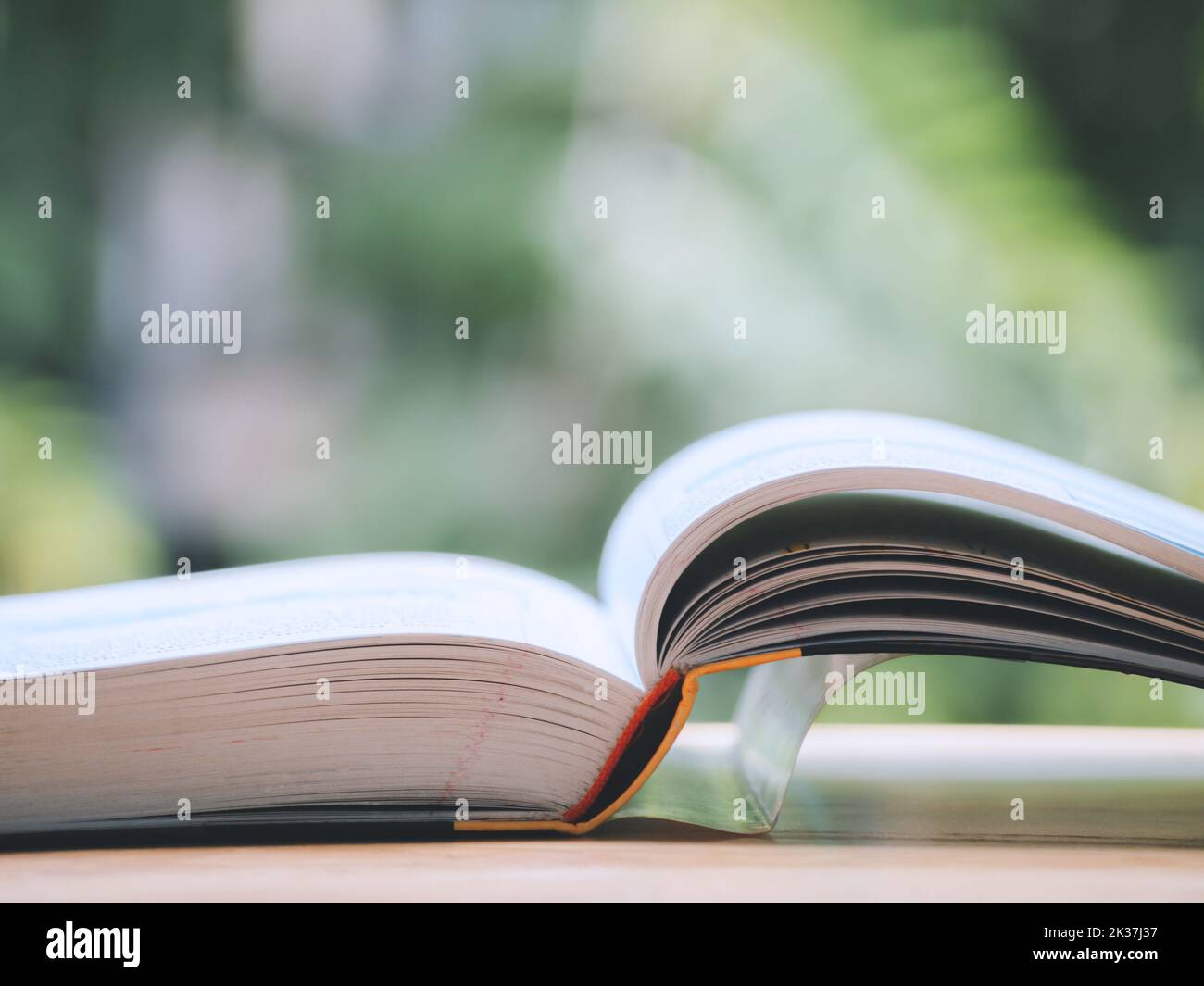 Academic reference book illustration hi-res stock photography and ...