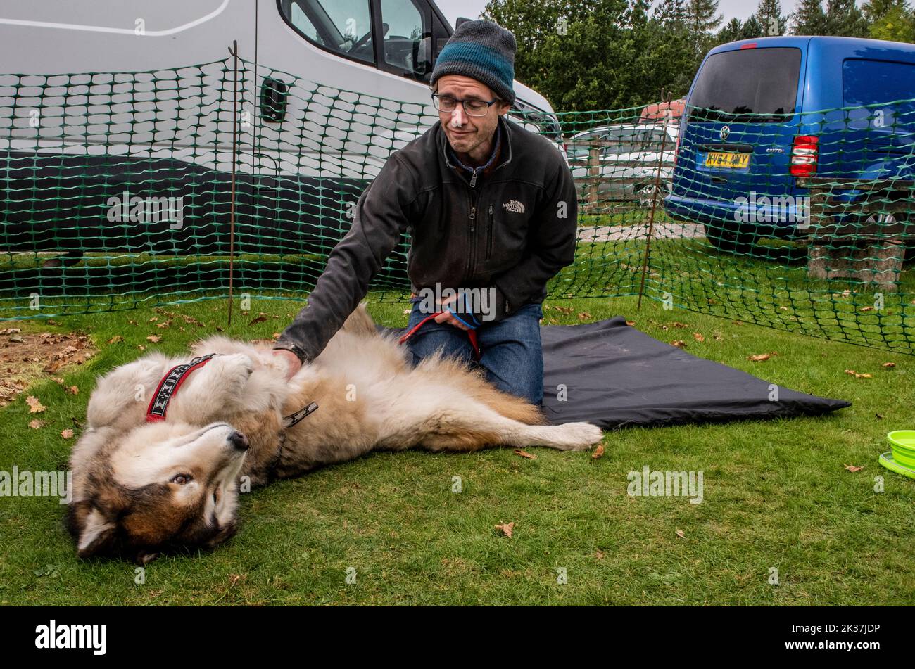 Follifoot, near Harrogate, North Yorkshire, 25th September 2022. The Follifoot Dog Festival where dog lovers were able to show off their beloved pets today. Lulu playing with her owner John. Picture Credit: ernesto rogata/Alamy Live News Stock Photo