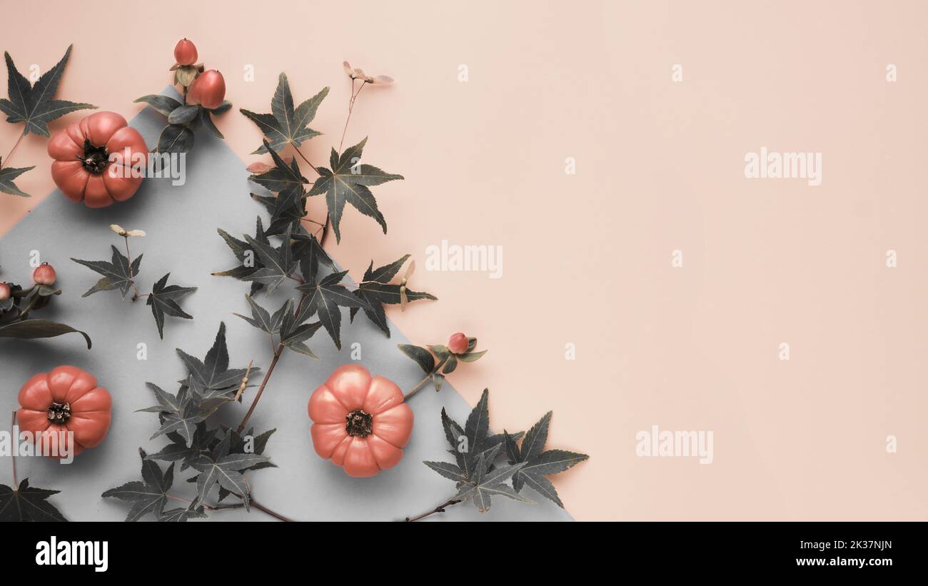 Autumntime background, corner decorated with orange mini pumpkins and dull green maple leaves. Beige paper background with space for text, copy-space. Stock Photo