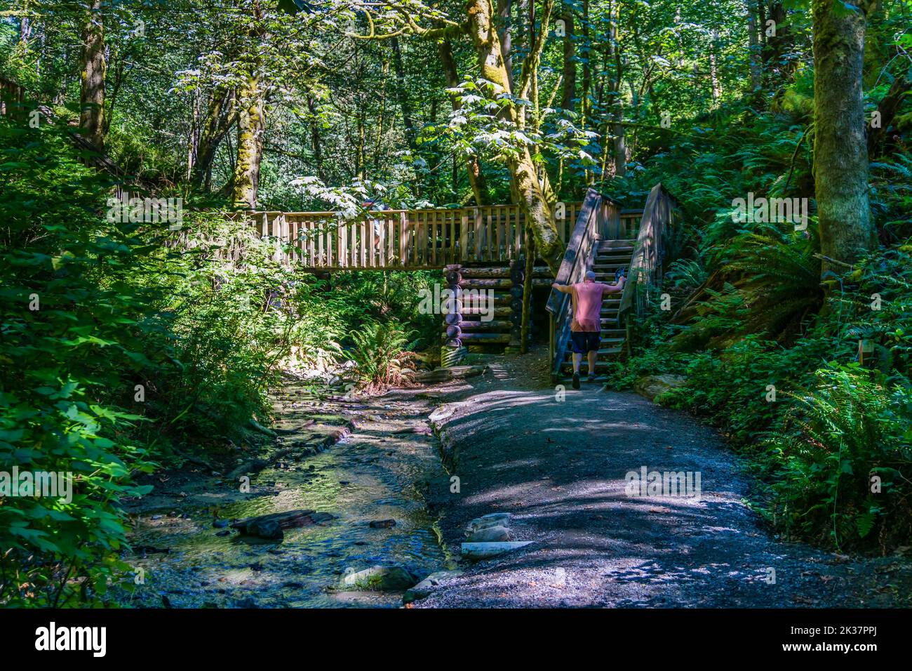 A log walking bridge at Dash Point State park in Washington State. Stock Photo