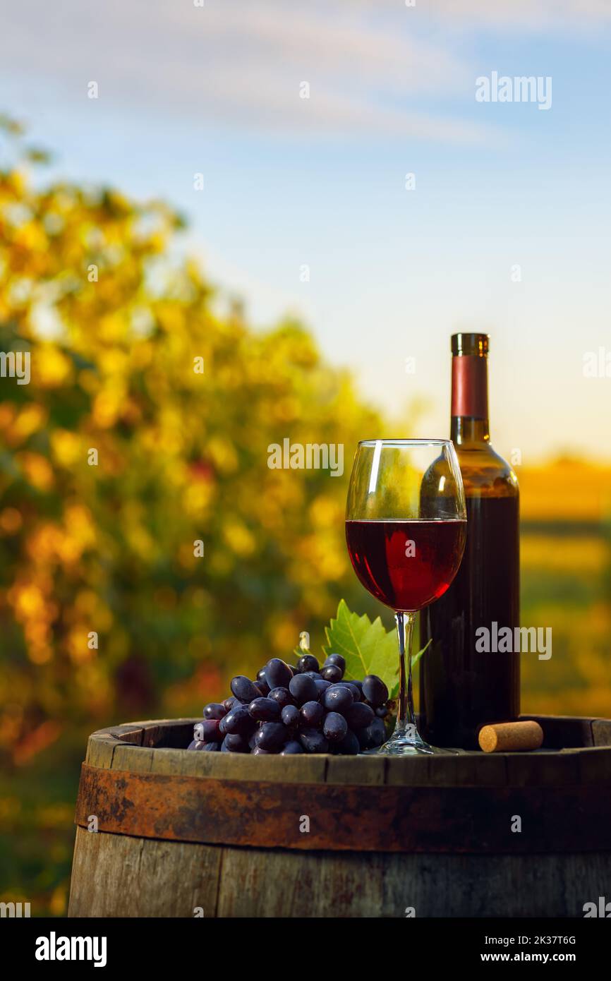 glass of red wine and grape on wooden barrel with vineyard Stock Photo ...