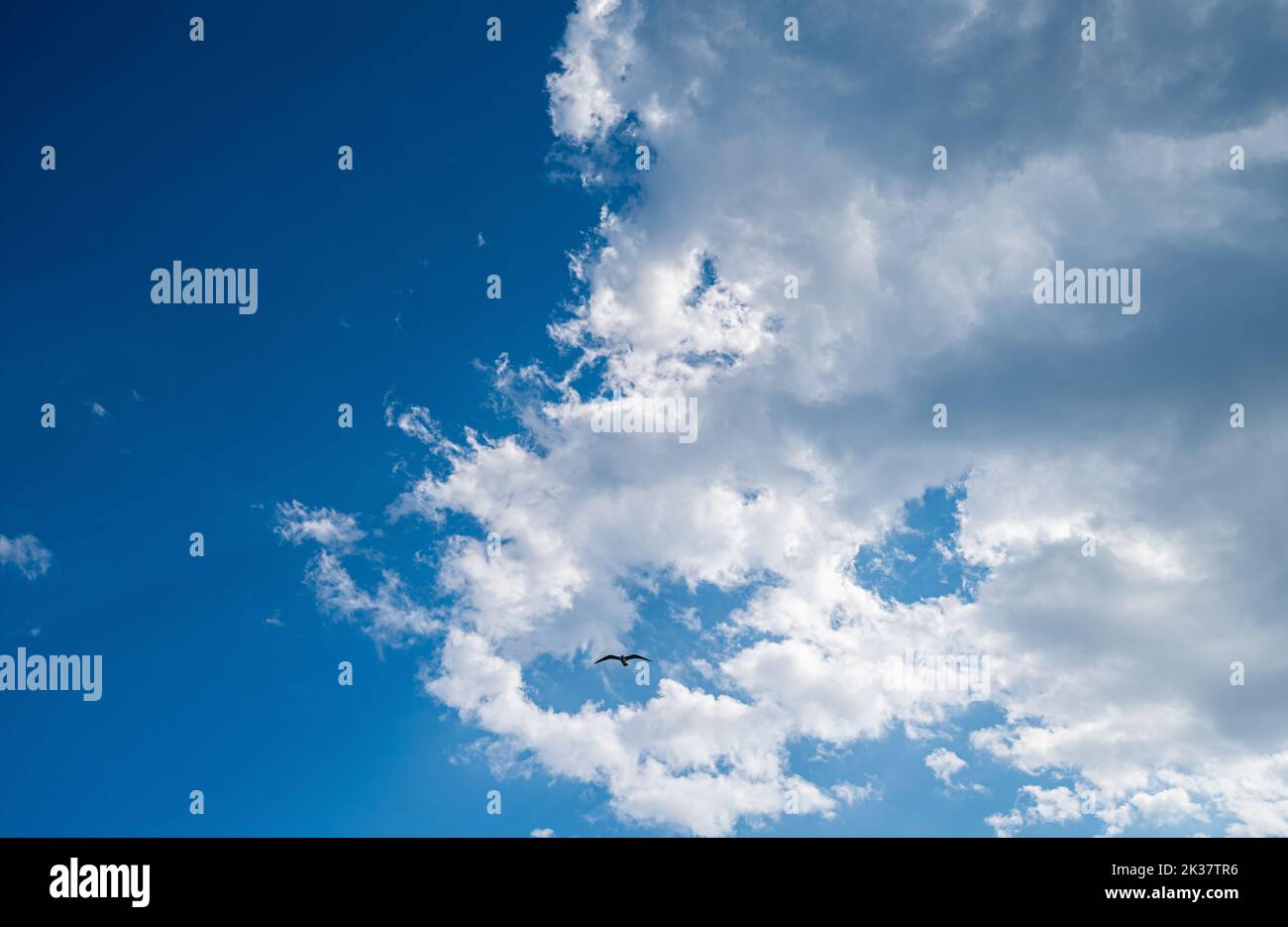 Dramatic blue sky with white clouds. Stock Photo