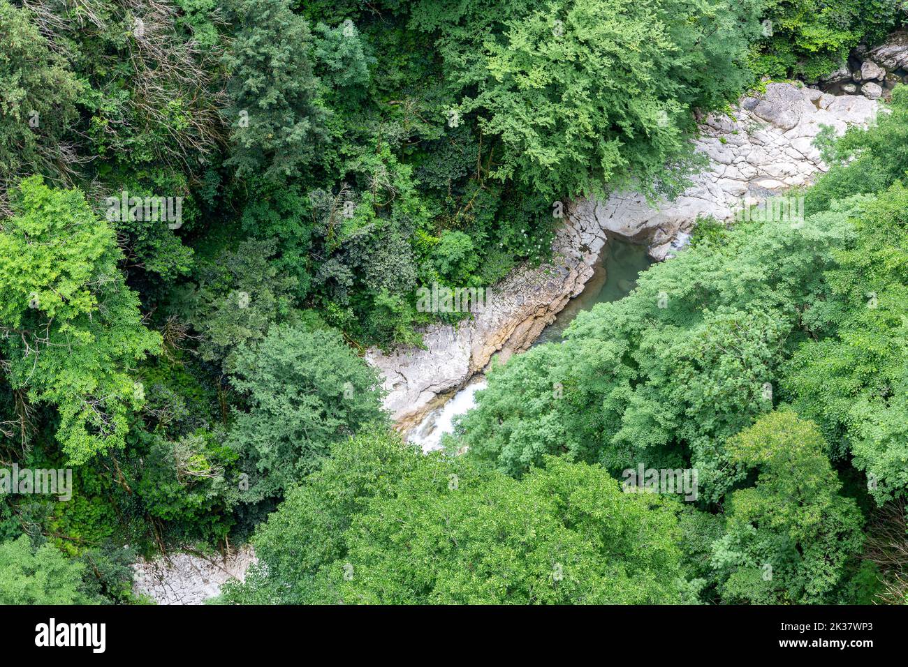 Okatse Canyon with Okatse river in Georgia, Imereti, lush vibrant green vegetation and forests with river seen from above. Stock Photo