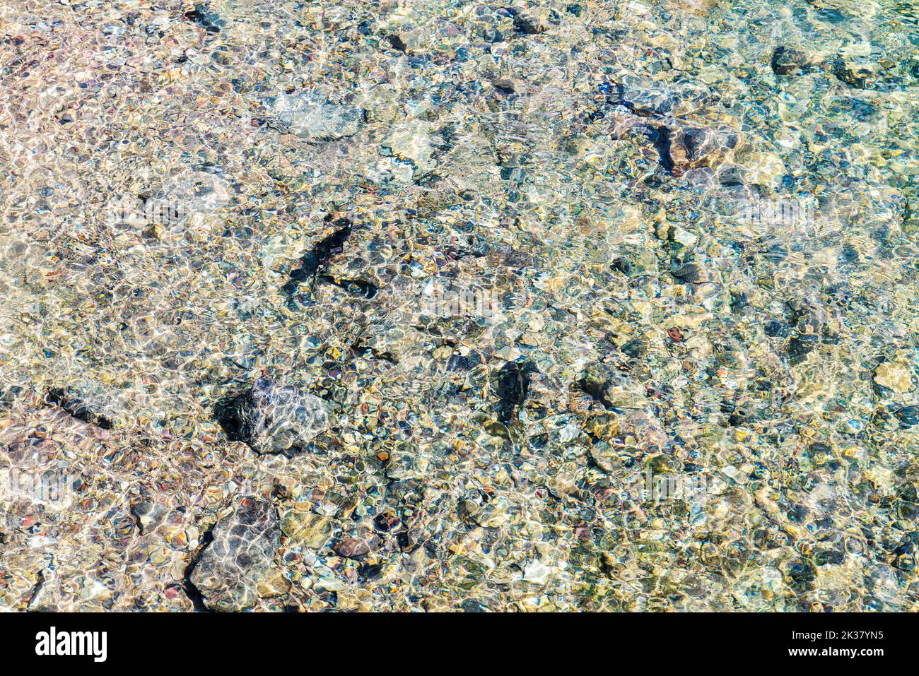 Trout swimming; Maligne Lake Outlet; Jasper National Park; Alberta; Canada Stock Photo
