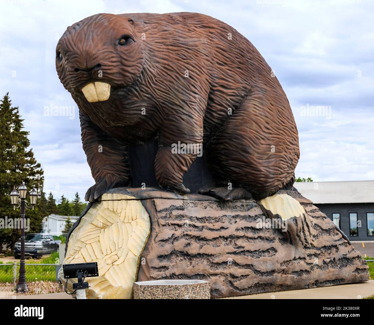 Giant beaver sculpture on display; Beaverlodge; Alberta; Canada Stock