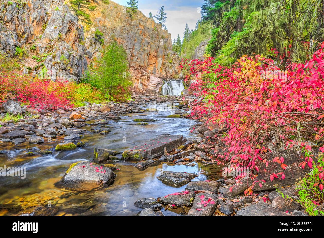 fall colors along tenderfoot creek in the little belt mountains near