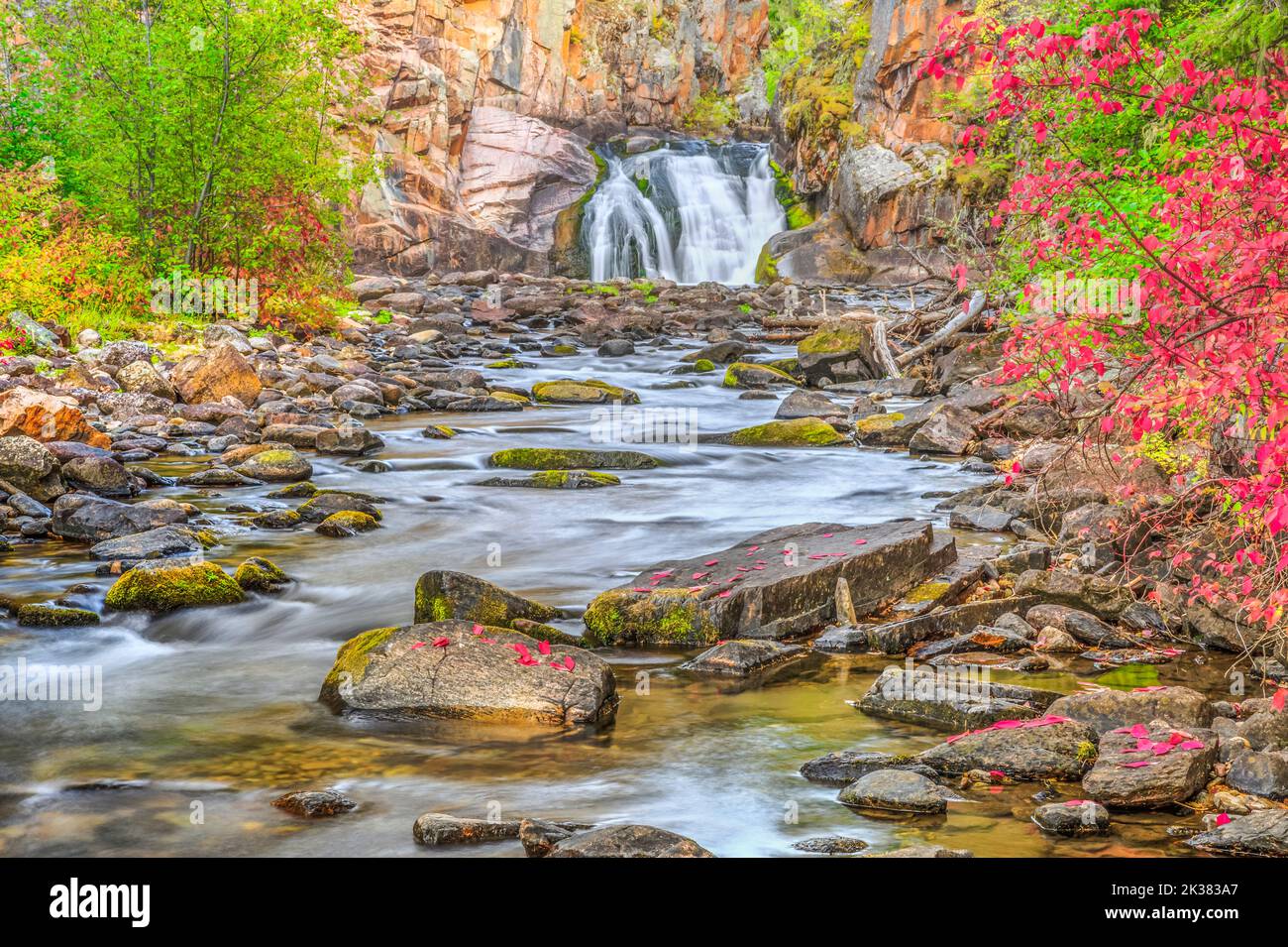 fall colors along tenderfoot creek in the little belt mountains near white sulphur springs, montana Stock Photo