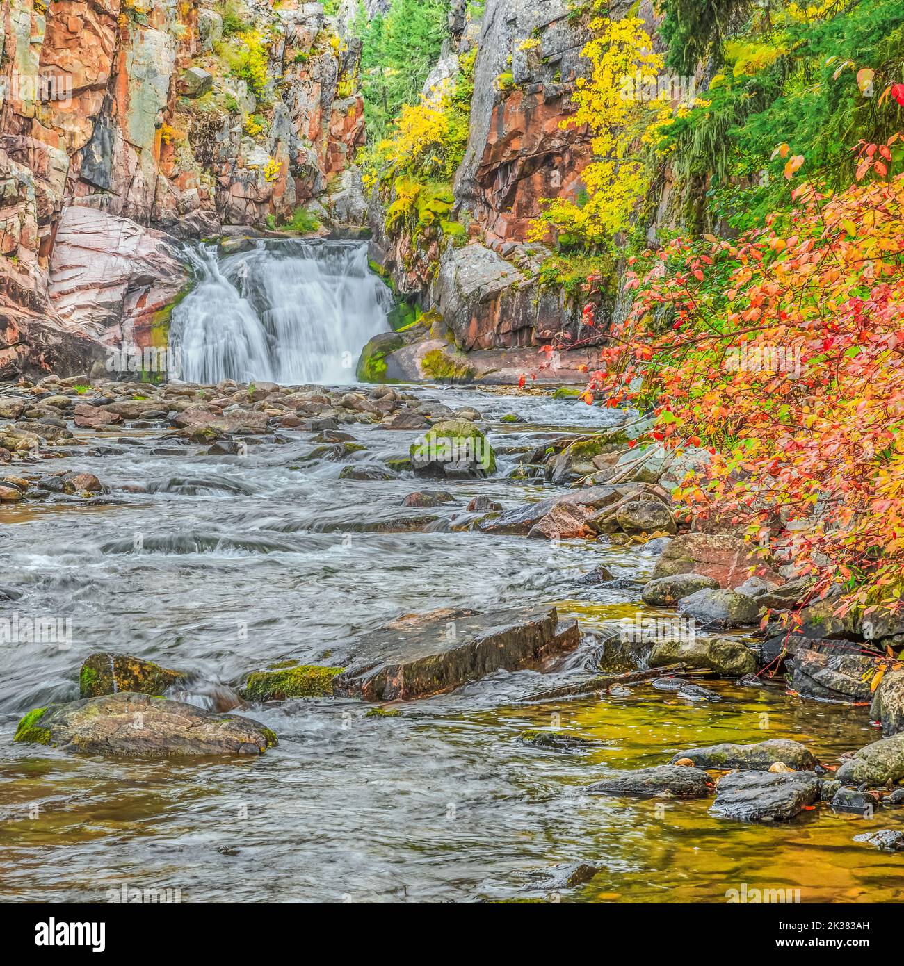 waterfall and fall colors along tenderfoot creek in the little belt mountains near white sulphur springs, montana Stock Photo