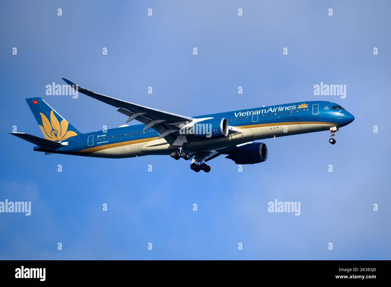 Vietnam Airlines Airbus A350 Arriving at Sydney Airport Stock Photo
