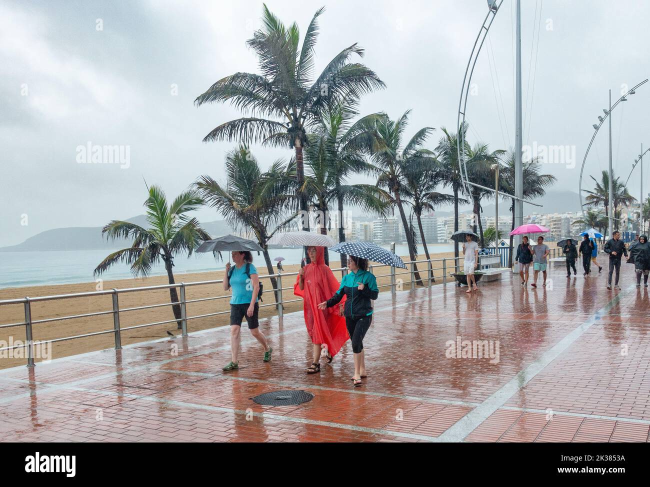 Las Palmas, Gran Canaria, Canary Islands, Spain. 25th September, 2022.  Tourists, many from the UK, swapping suncream for umbrellas and waterproofs  in Las Palmas as tropical cyclone "Hermine" brings torrential rain as