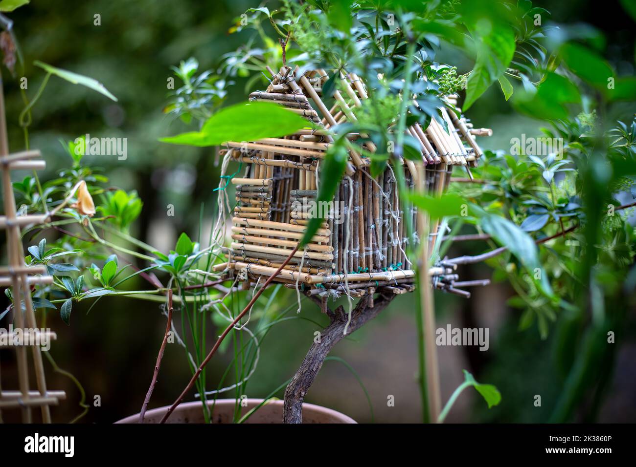 close-up of flower pot and birdhouse on balcony Stock Photo