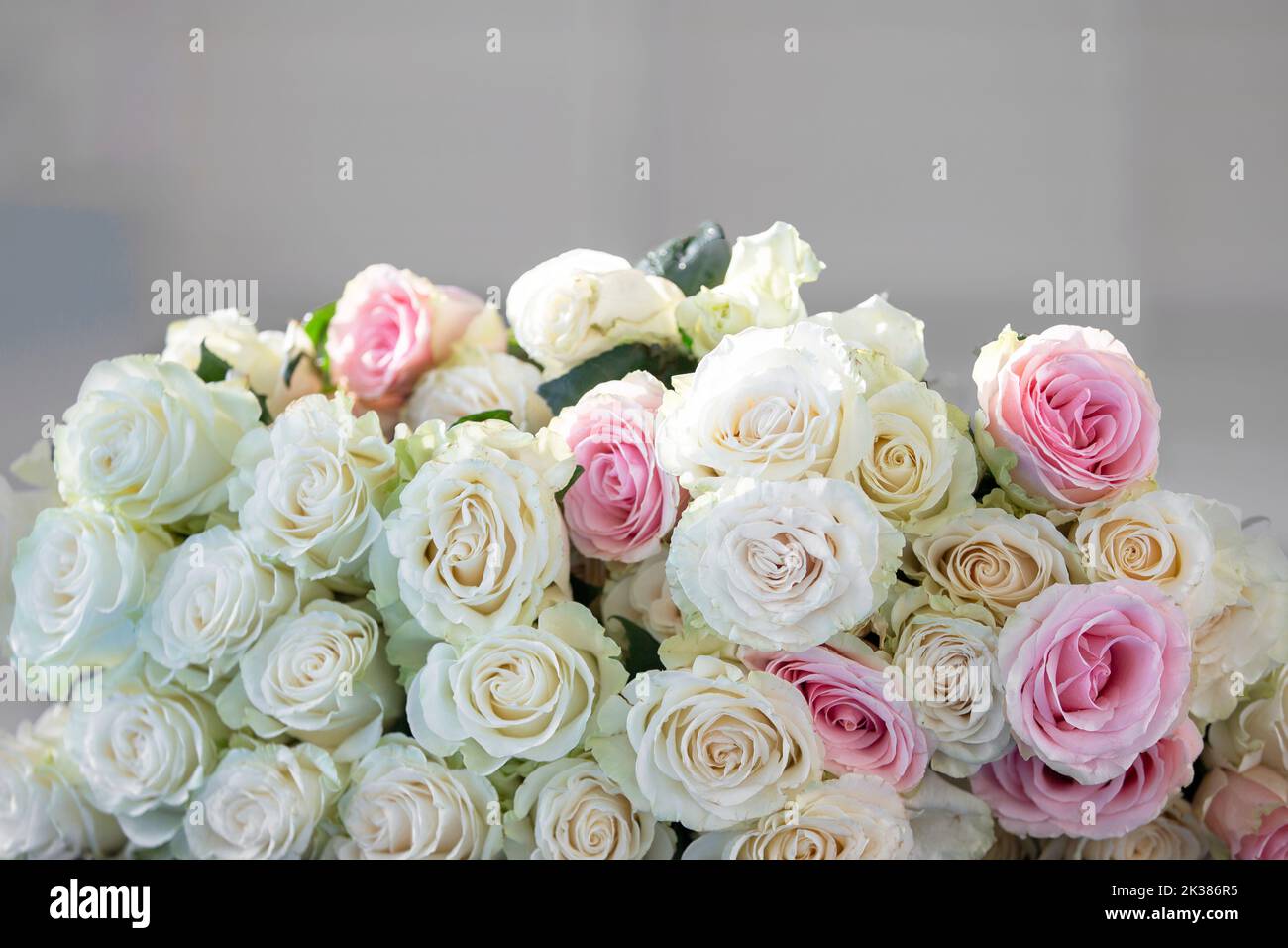Big close up luxury wedding hi-res stock photography and images - Alamy