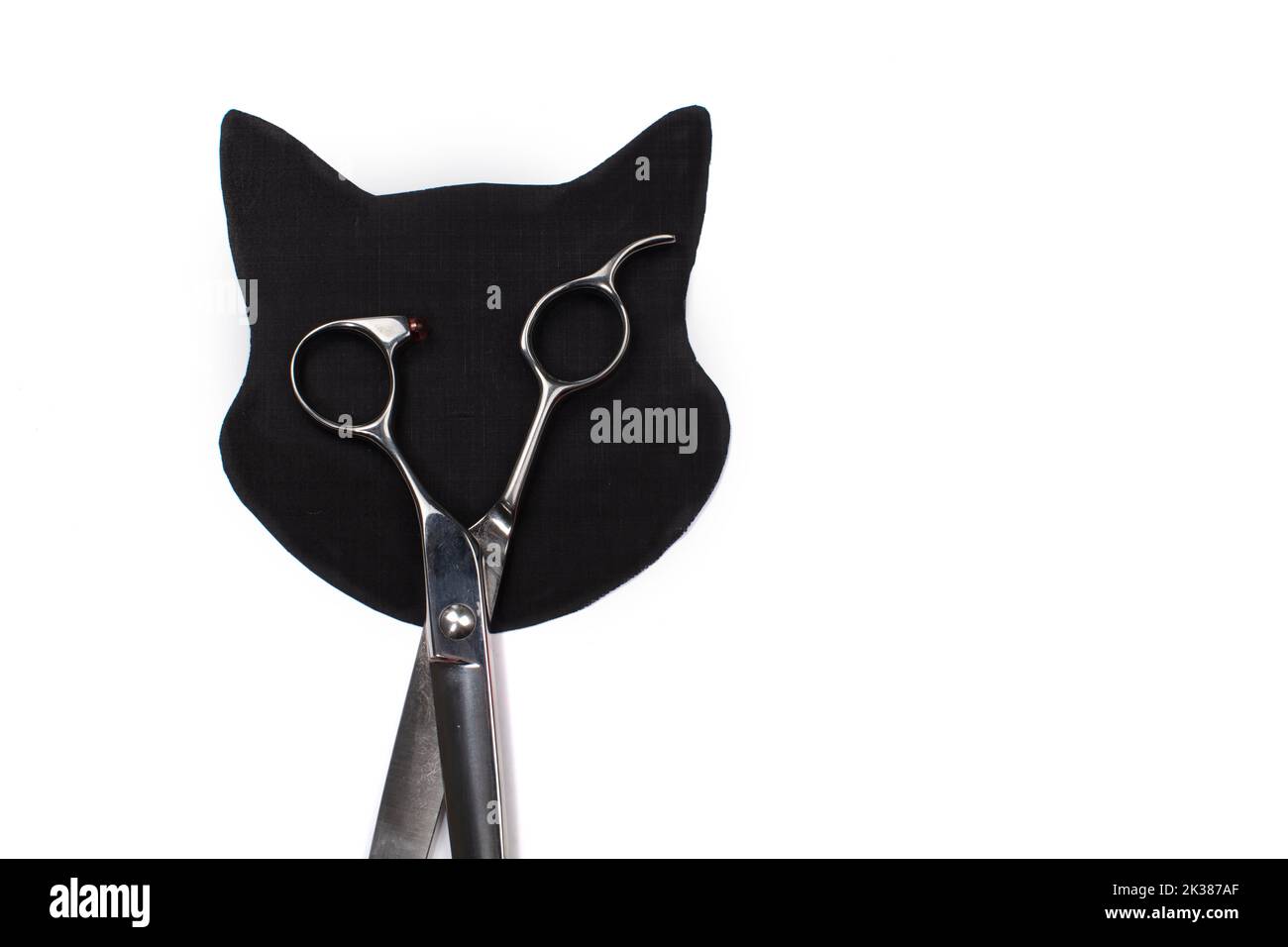 https://c8.alamy.com/comp/2K387AF/craft-paper-black-cat-creative-cat-head-and-scissors-childrens-art-project-craft-for-children-2K387AF.jpg