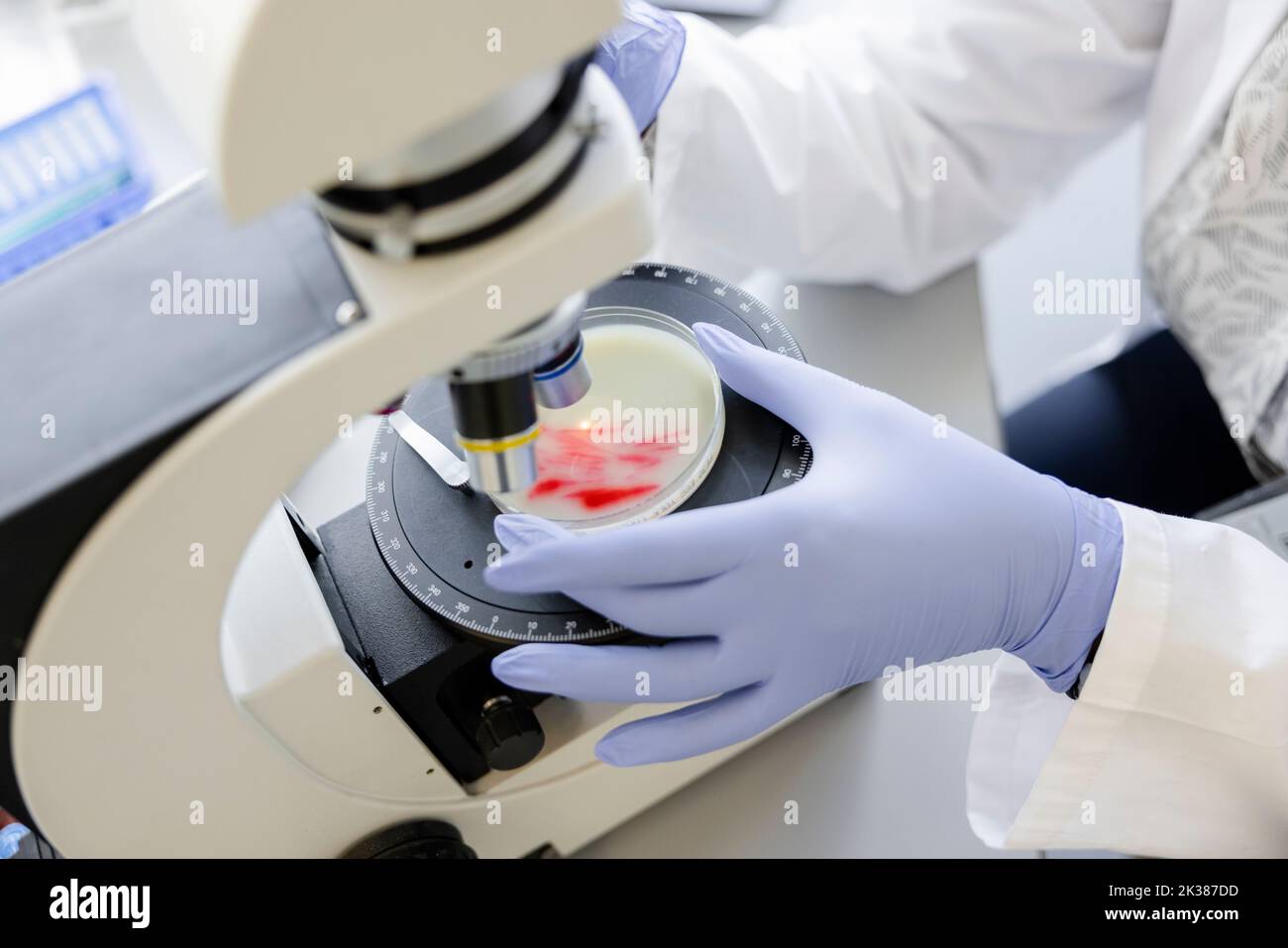 Close up scientist placing petri dish under microscope Stock Photo Alamy