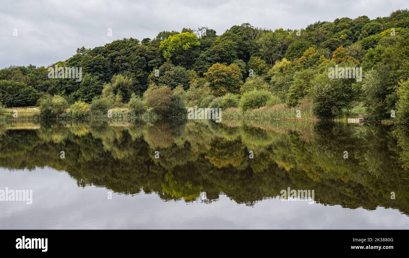 Reflections in the still water of a lake at Brockholes near Preston in September 2022. Stock Photo