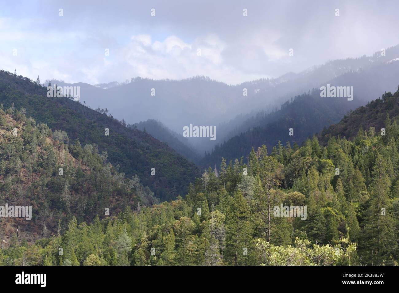 A scenic view of green mountain forests under the cloudy sky Stock ...