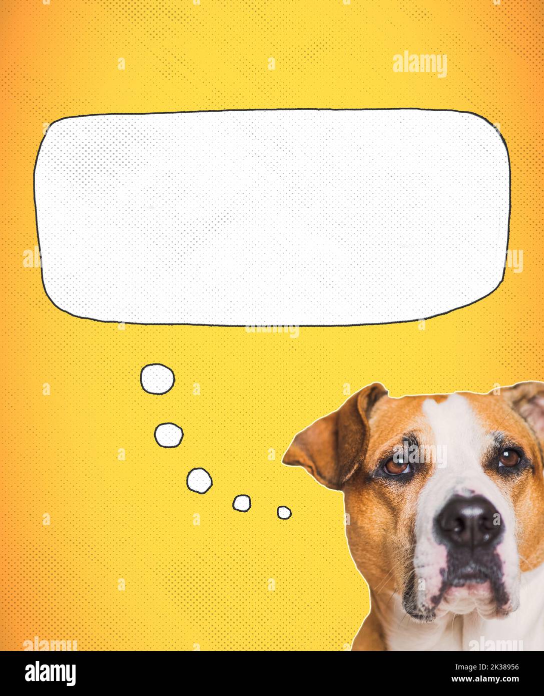 Funny dog thinking, speech bubble, digital collage image. Cute staffordshire terrier with a thought bubble and text space Stock Photo