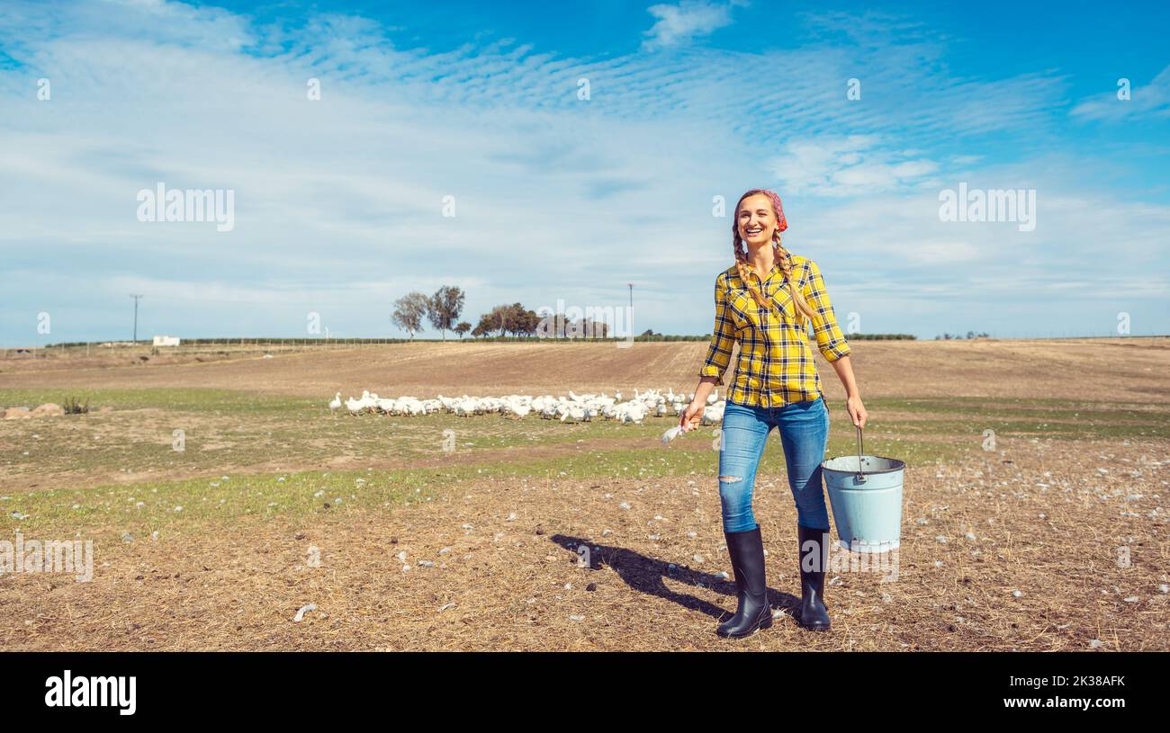 Farmer woman feeding the geese Stock Photo