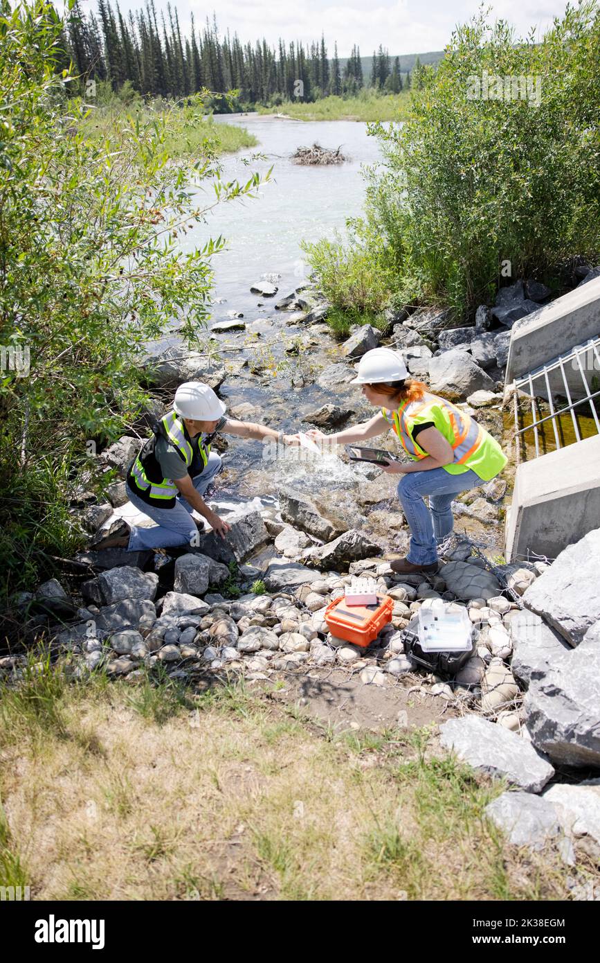 Environmental inspectors checking water quality in drain Stock Photo Alamy