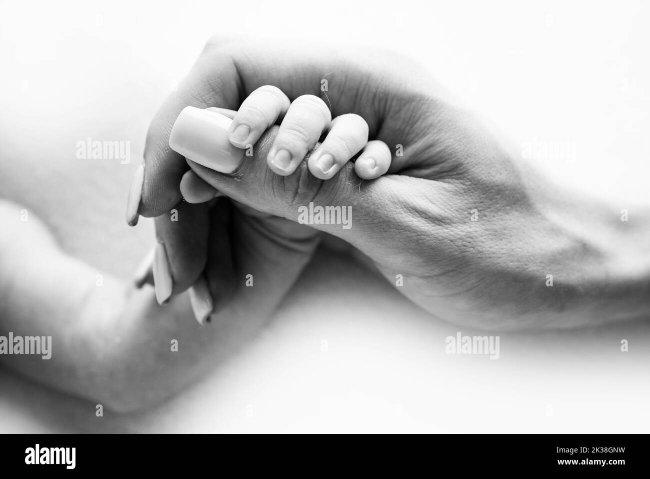 Closeup of a baby's small hand with tiny fingers and arm of mother Stock Photo Alamy