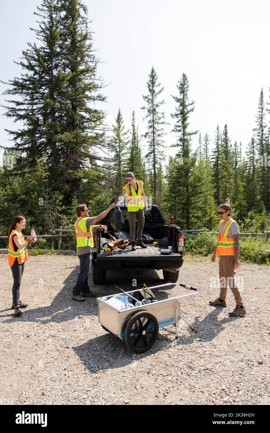 Volunteers putting refuse sacks in pickup track Stock Photo Alamy