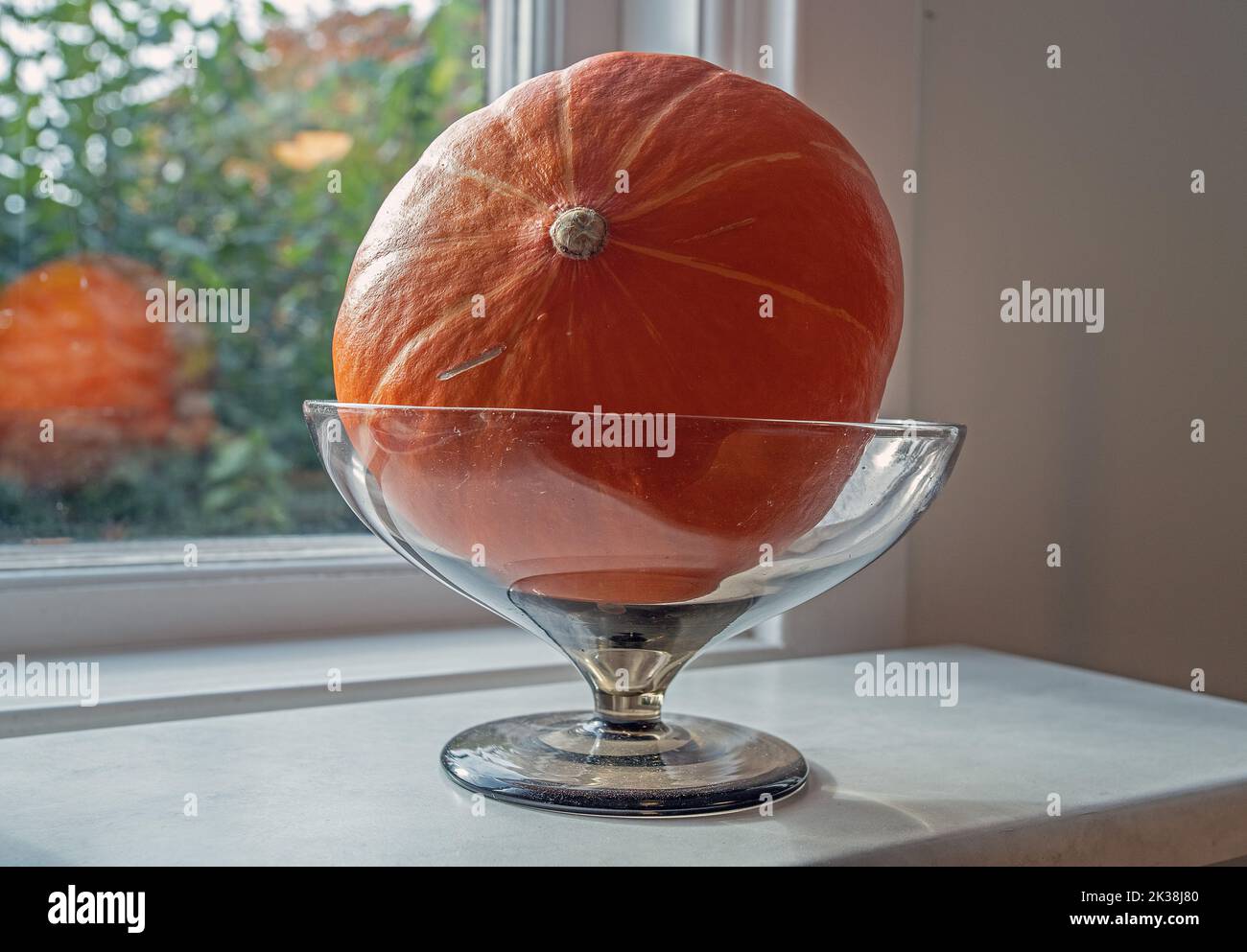 orange mini pumpkar on a glass vase in window Stock Photo