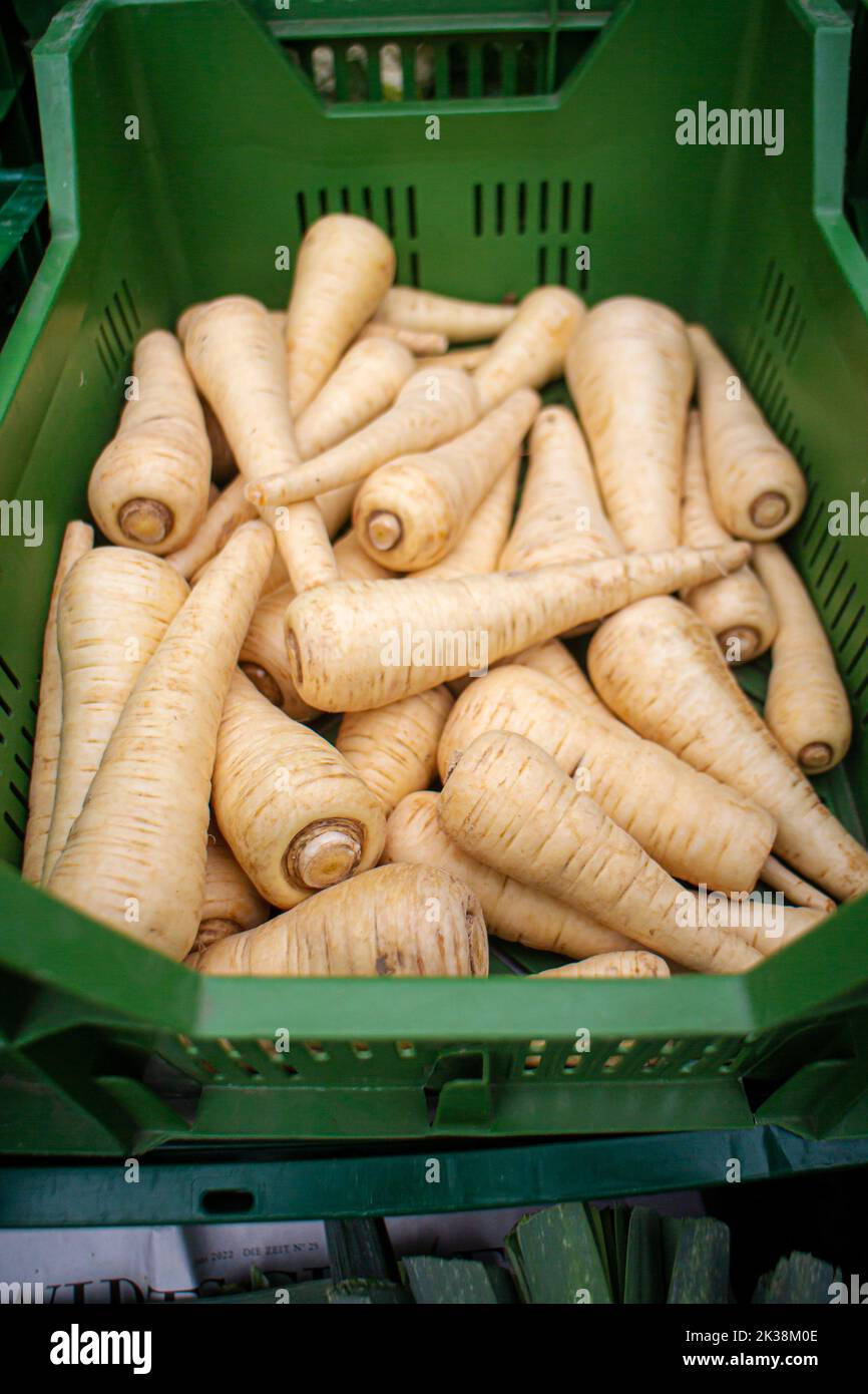 parsnips on a regional seasonal market in autumn with local products in Germany, called 'Herbstmarkt' (transl. autumn market) Stock Photo