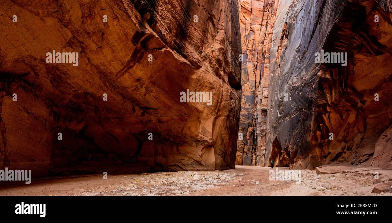 Single Hiker In Deep Narrow Canyon Stock Photo