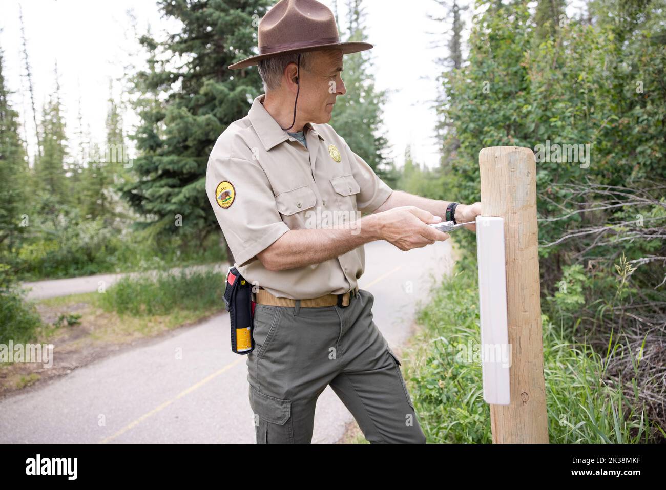 Ranger fixing roadside sign in forest Stock Photo