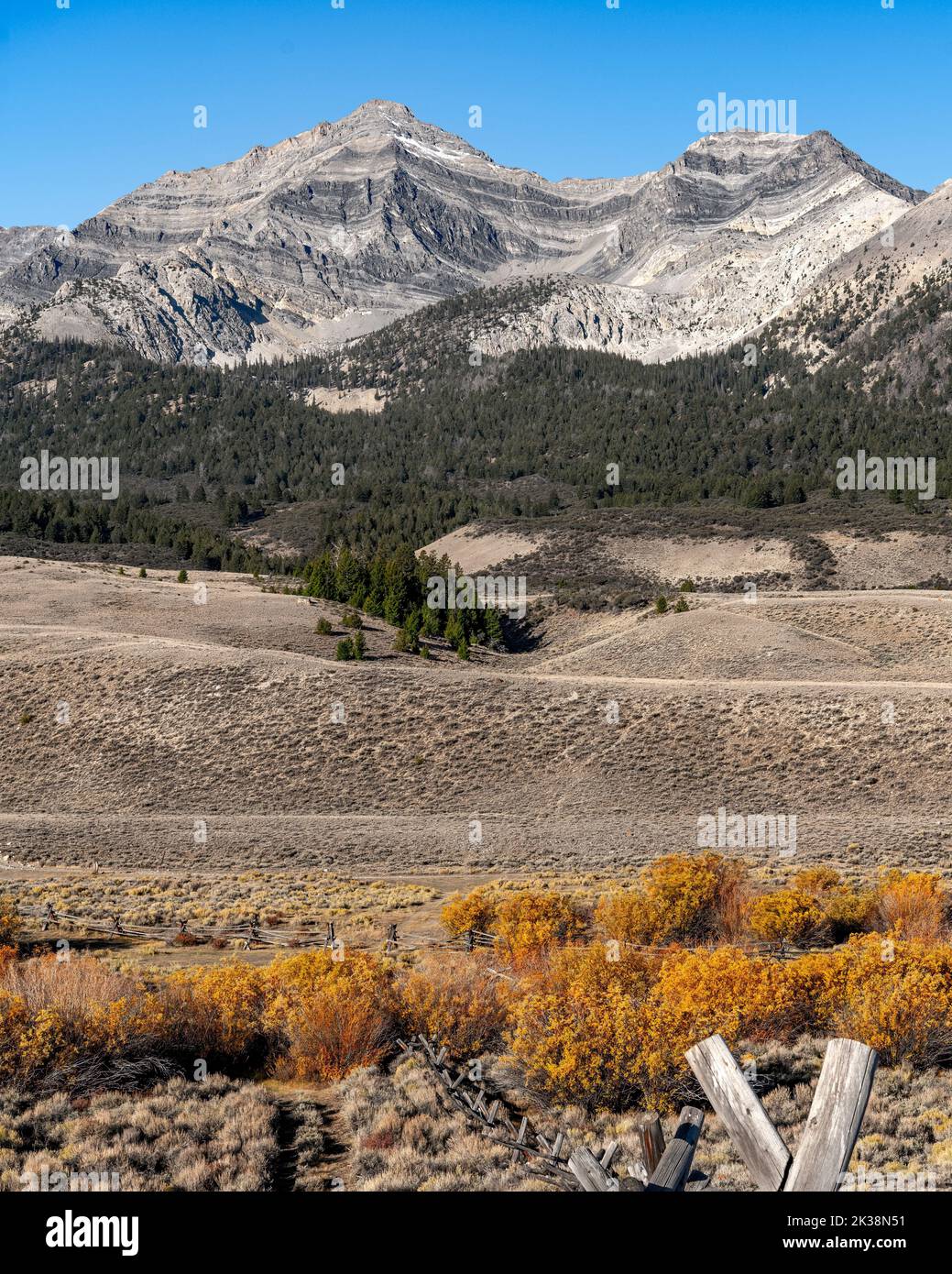 Idaho wilderness landscape with fence and fall color willows Stock Photo Alamy