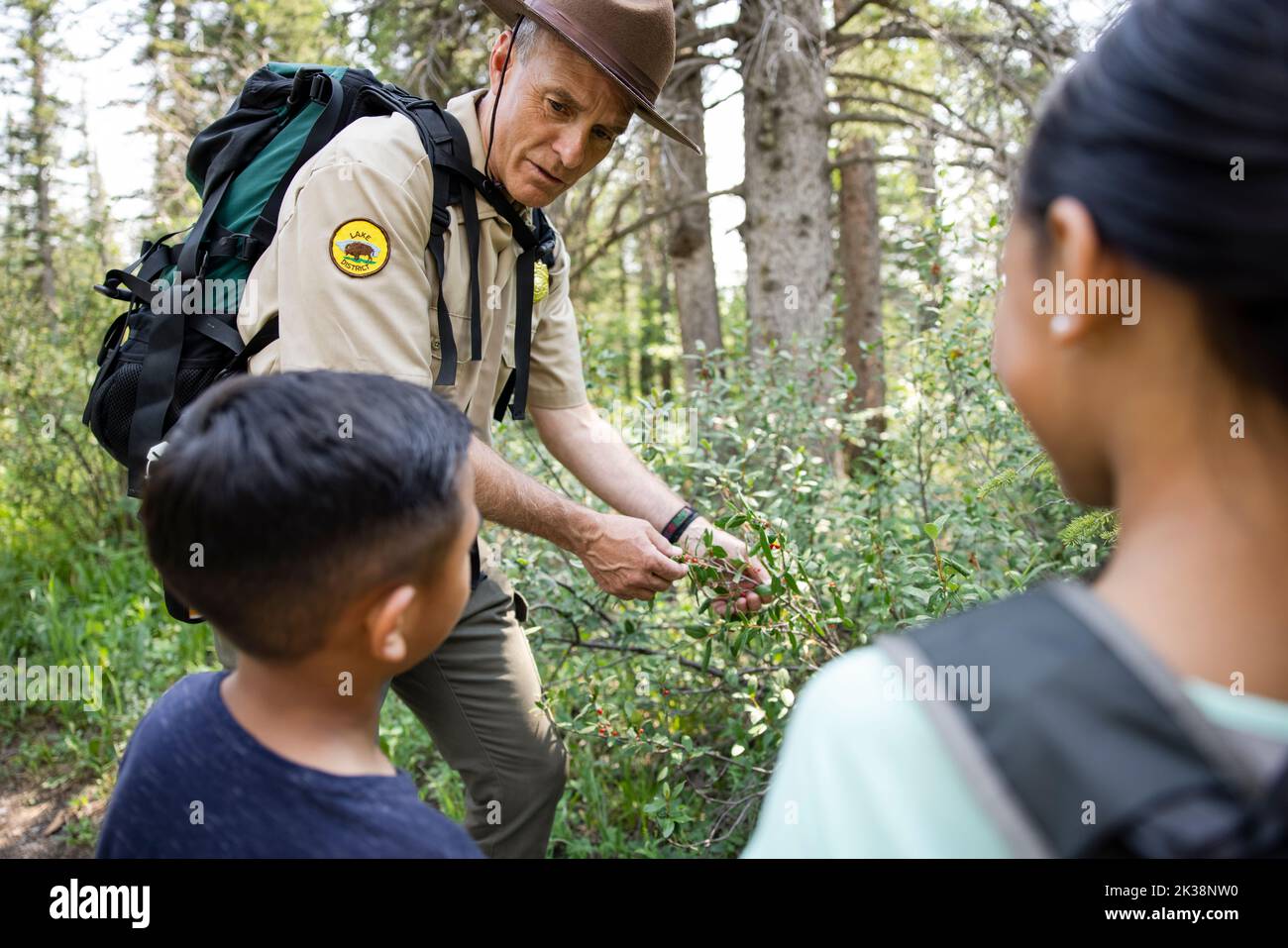 Kids Bush Ranger Ranger showing children plants in forest Stock Photo - Alamy