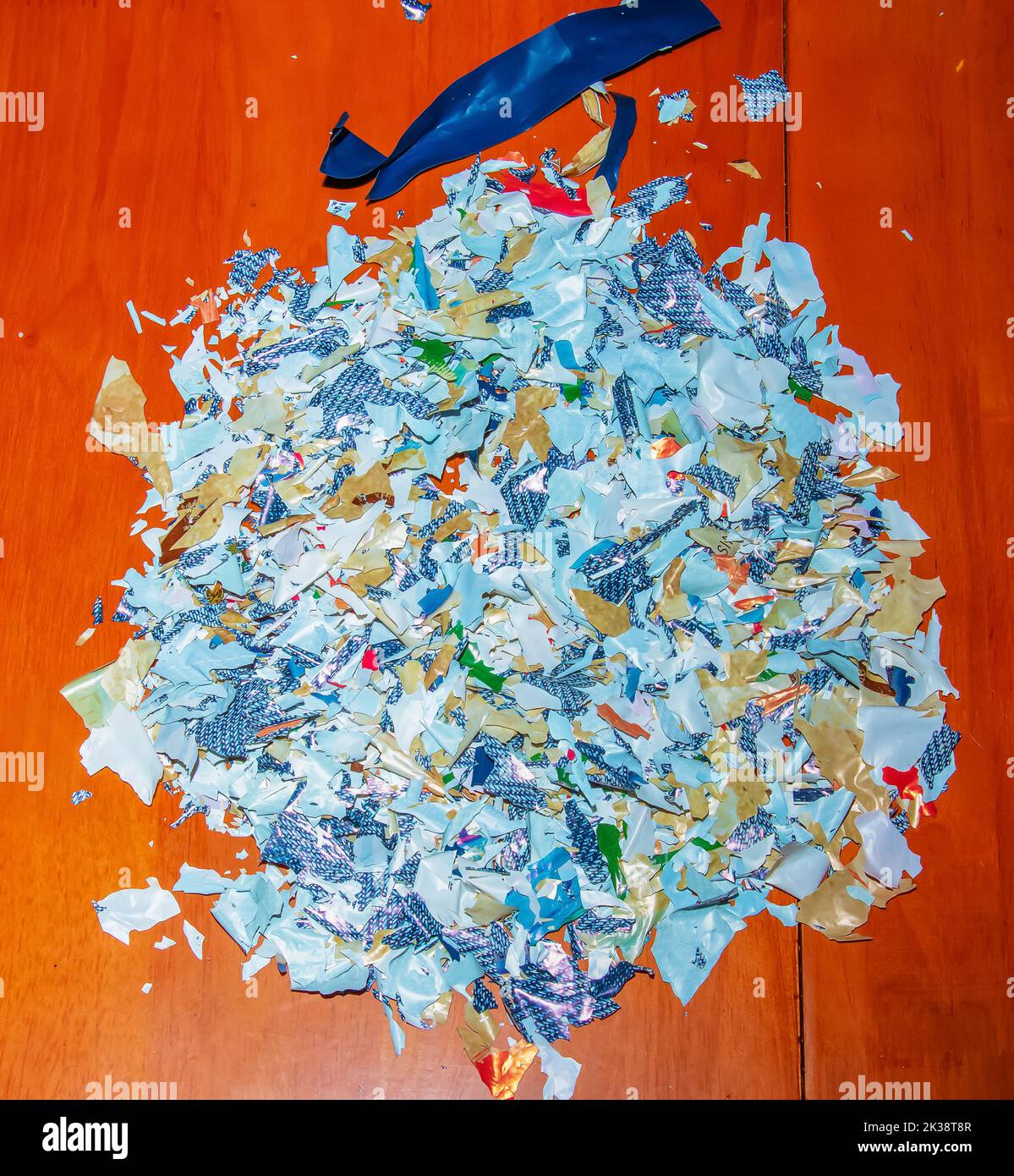 Remains of a biodegradable plastic bag after Self