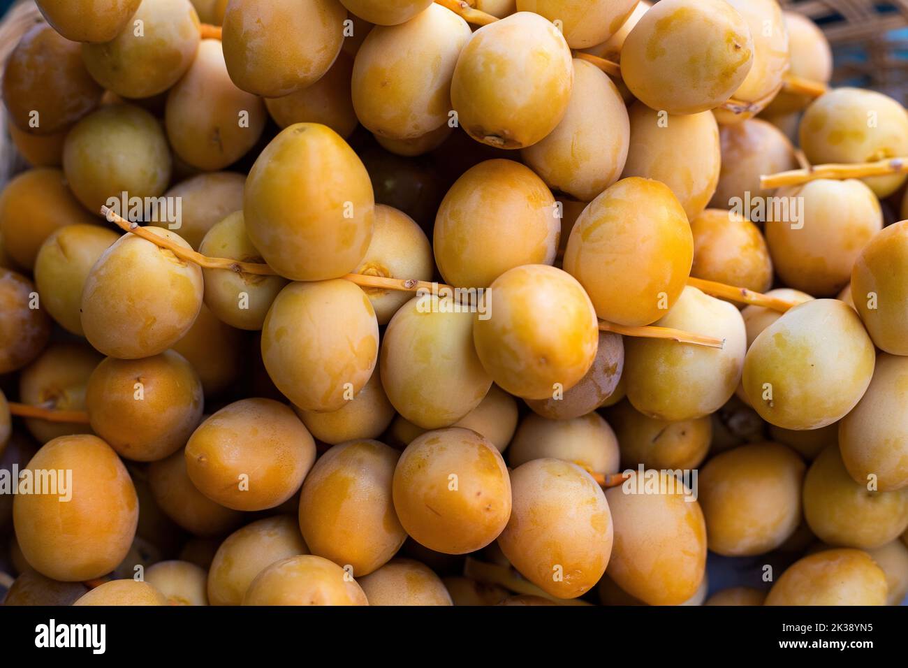 Phoenix dactylifera A lot of green dates in the supermarket Stock