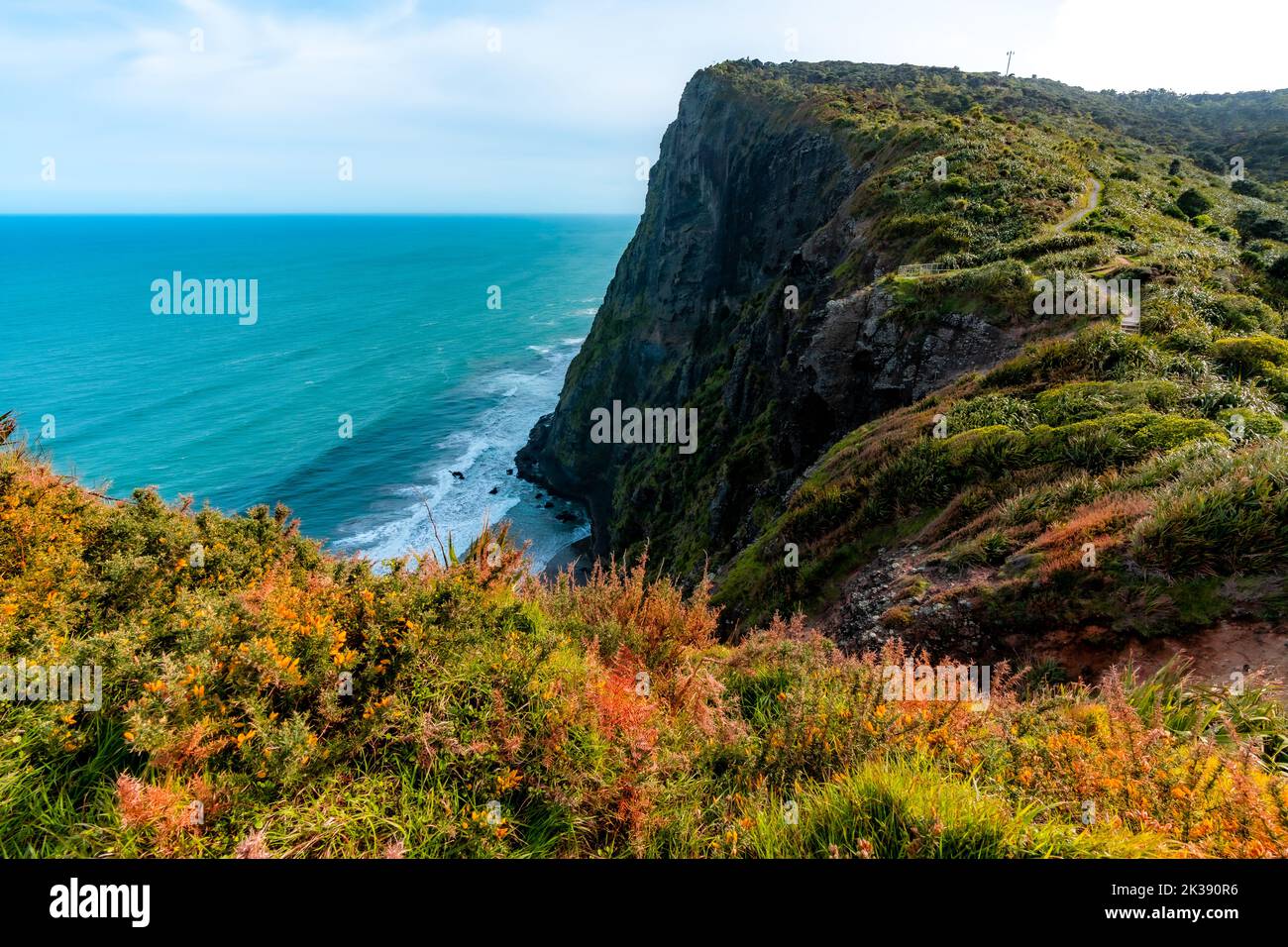 Mercer Bay Loop Walk Stock Photo Alamy