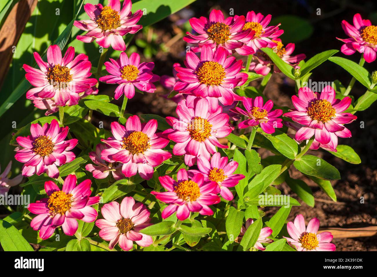 Eleanor Cabot Bradley Estate Stock Photo Alamy