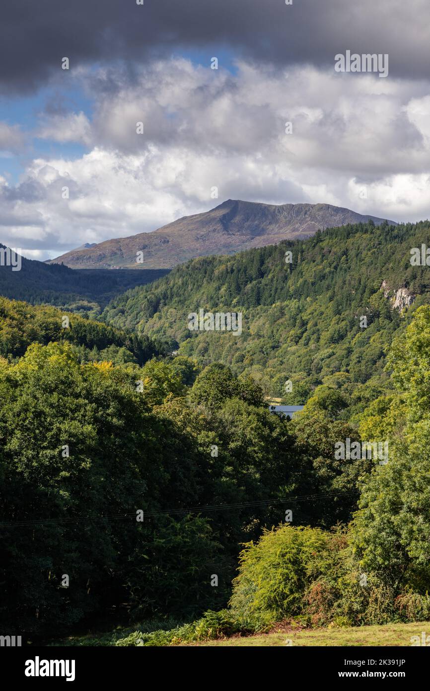 Gwydir forest and Moel Siabod, Snowdonia, North Wales Stock Photo