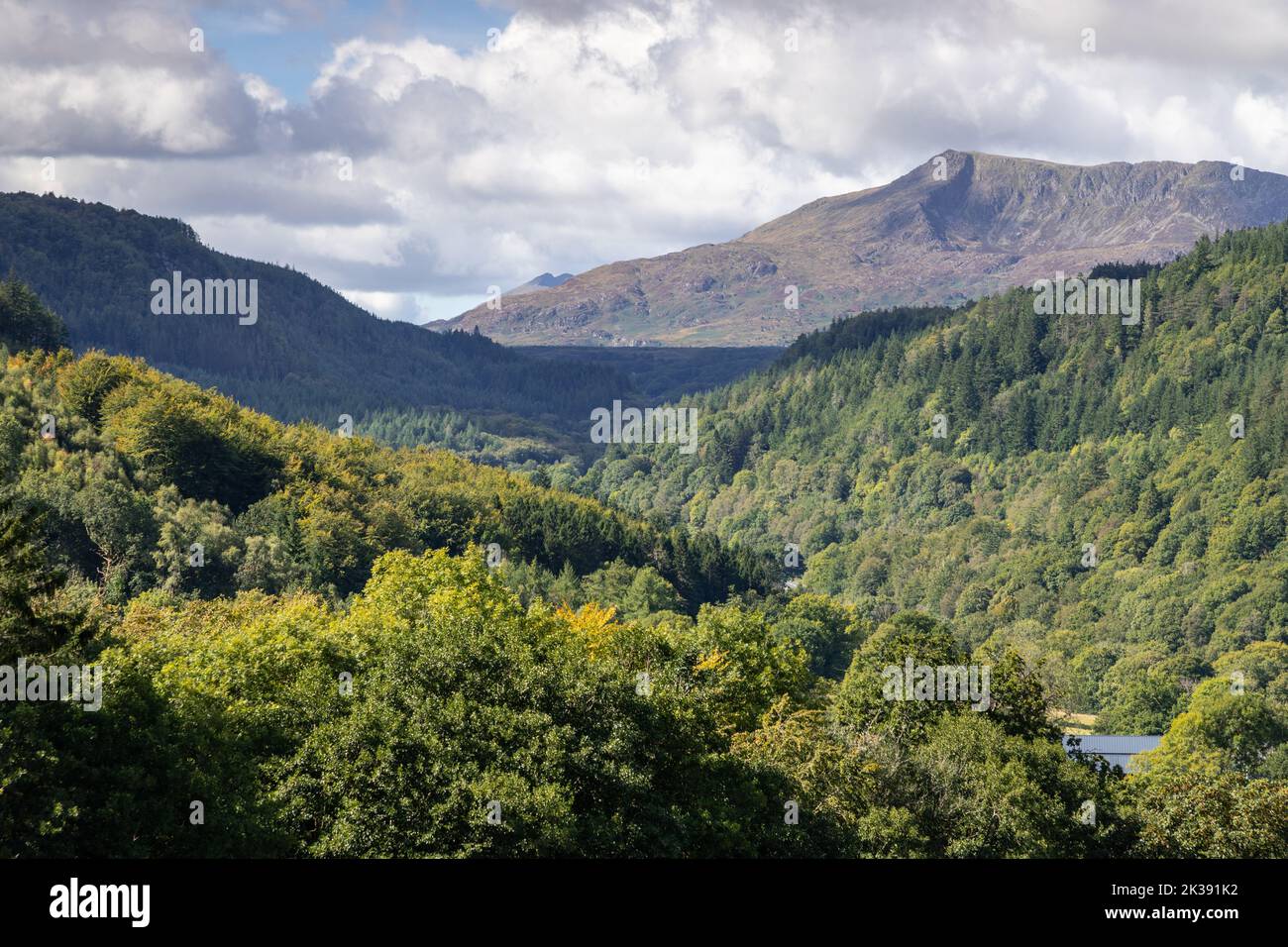 Gwydir forest and Moel Siabod, Snowdonia, North Wales Stock Photo