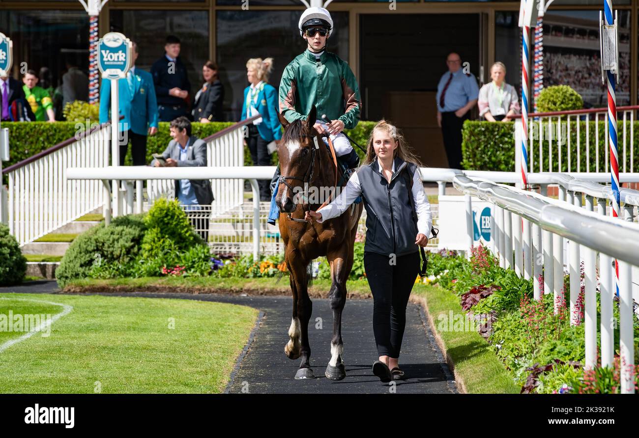 British Horse Racing Hi Res Stock Photography And Images Alamy