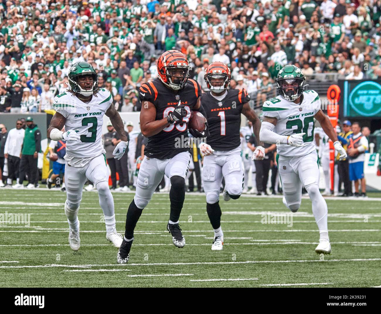 East Rutherford, New Jersey, USA. 25th Sep, 2022. Cincinnati Bengals wide receiver Tyler Boyd (83) makes a catch and run for a touchdown as New York Jets safety Jordan Whitehead (3) and cornerback Michael Carter II (30) pursues during a NFL game at MetLife Stadium in East Rutherford, New Jersey on Sunday September 25, 2022. Duncan Williams/CSM/Alamy Live News Stock Photo