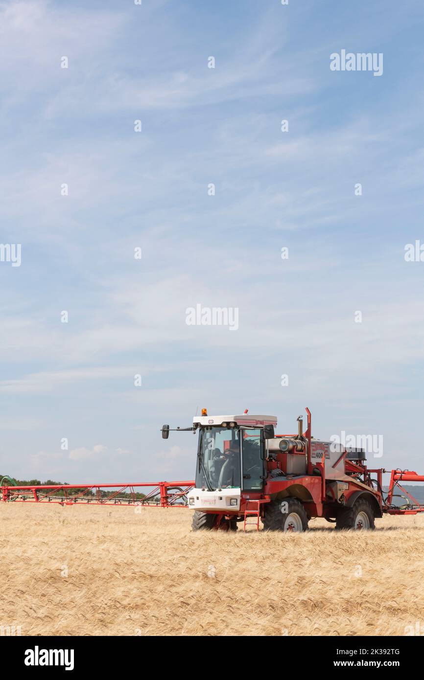 Crop Spraying in a Field of Ripening Barley with a Bateman Sprayer in Sunshine with Light Cloud Stock Photo