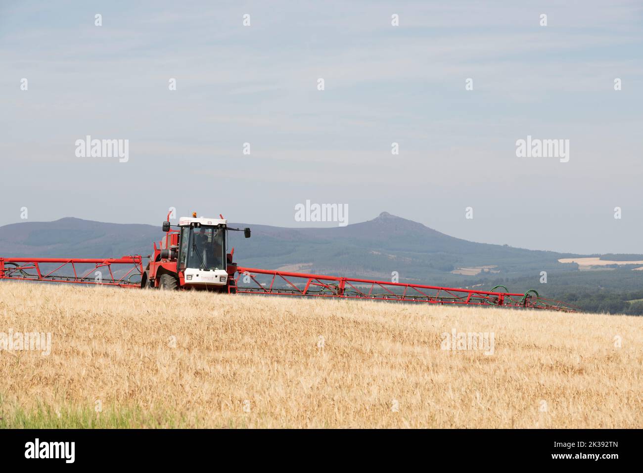 A Self-Propelled Bateman Crop Sprayer Spraying a Field of Grain in Aberdeenshire on a Sunny Summer's Day with Bennachie Visible in the Background Stock Photo