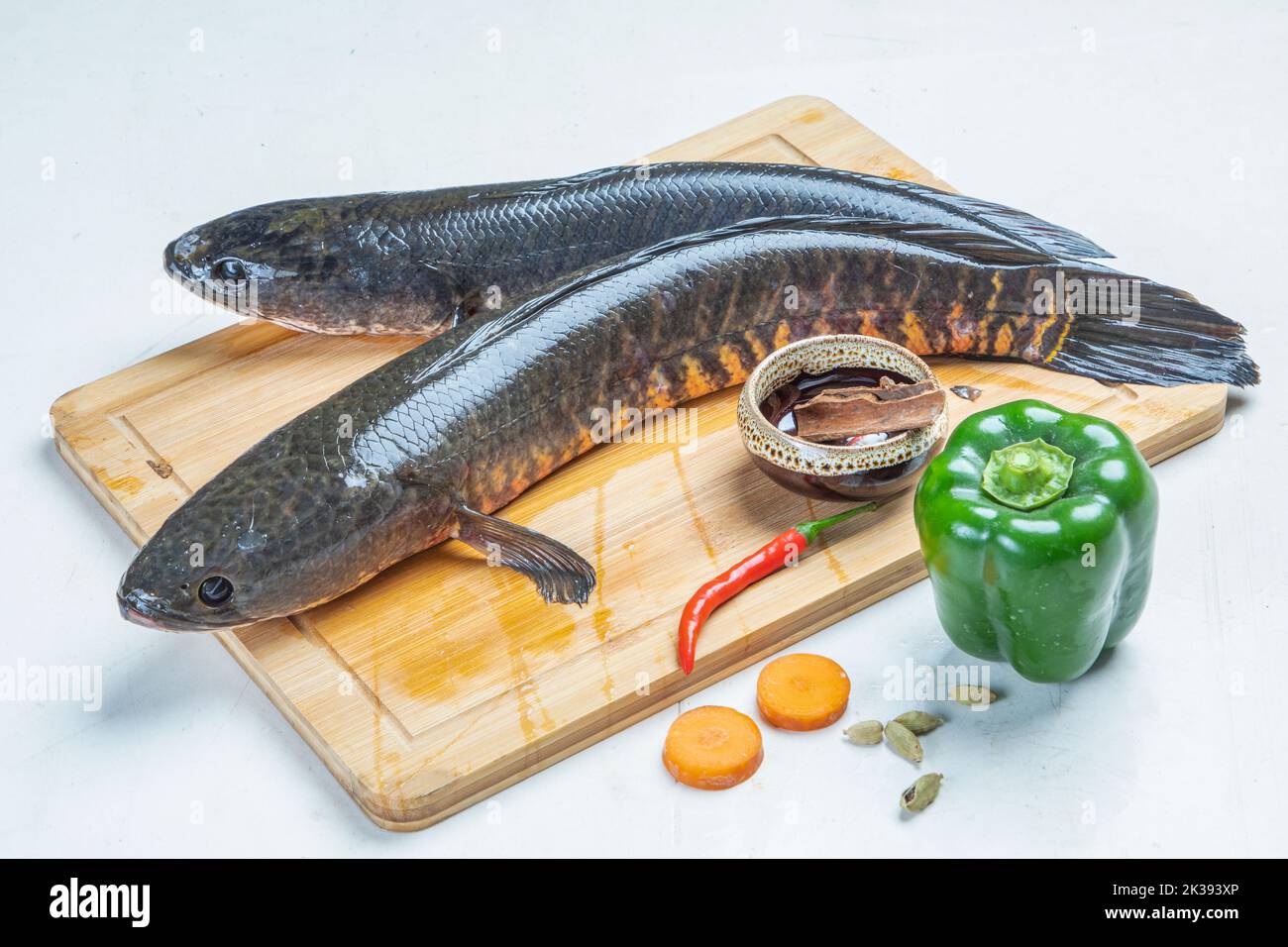 Telo Taki or Spotted snakehead, Channa punctata or Spotted snakehead that found in thousands of rivers and ponds Stock Photo