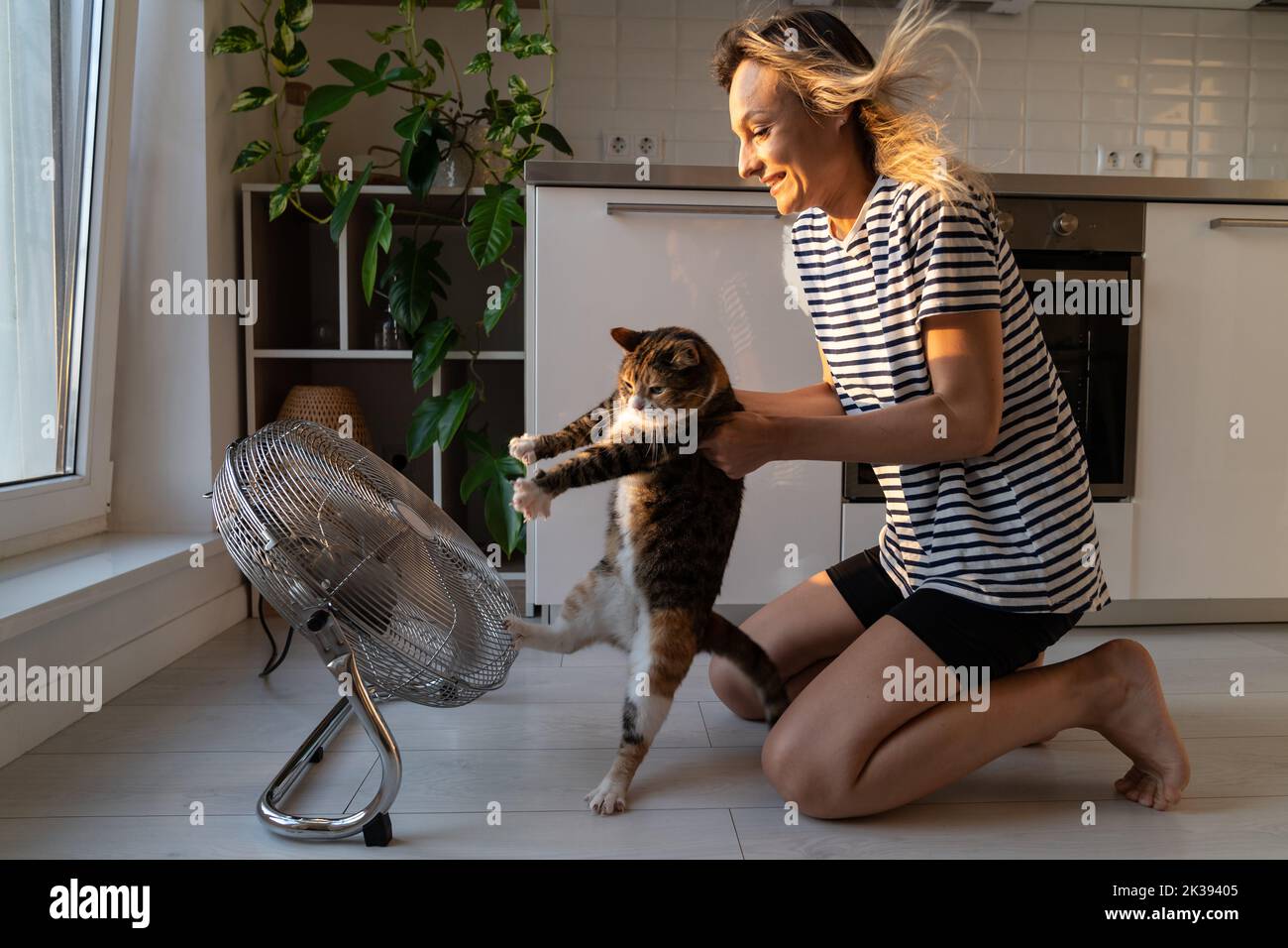 Cat hates stream of cold air and tries to run away from fan and landlady sitting on floor in kitchen Stock Photo