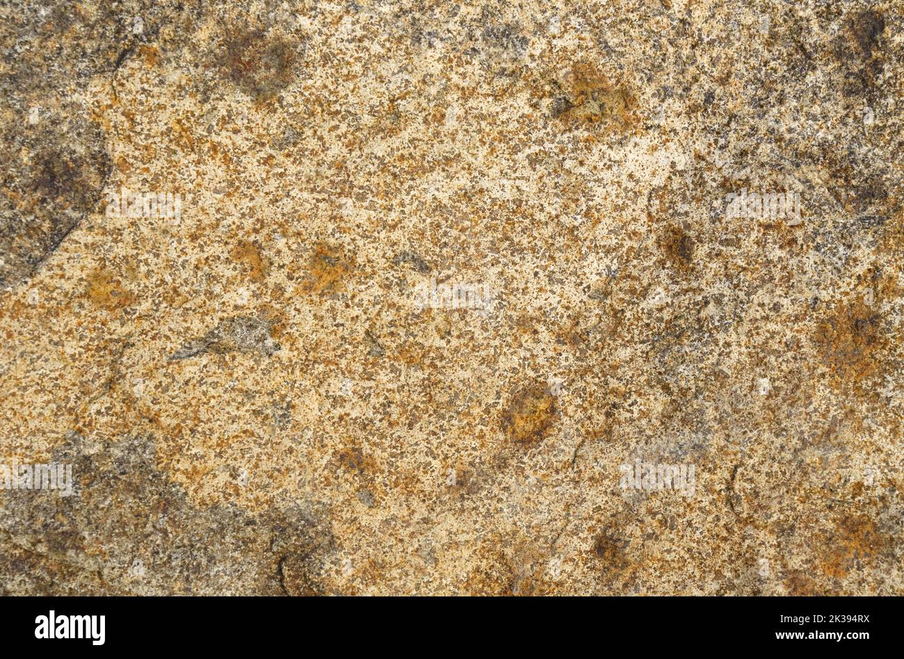 The texture of the stone with different shades of brown and spots