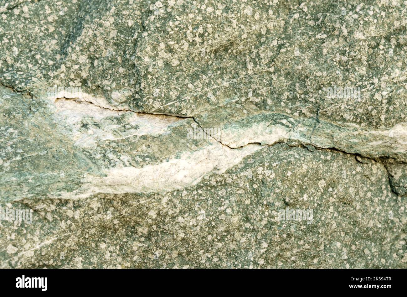 The texture of the stone is gray with white spots and cracked. Textures