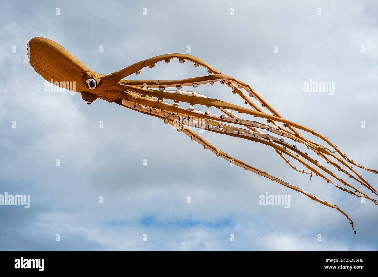 a-huge-kite-with-the-shape-of-an-octopus-is-seen-flying-in-the-sky-the