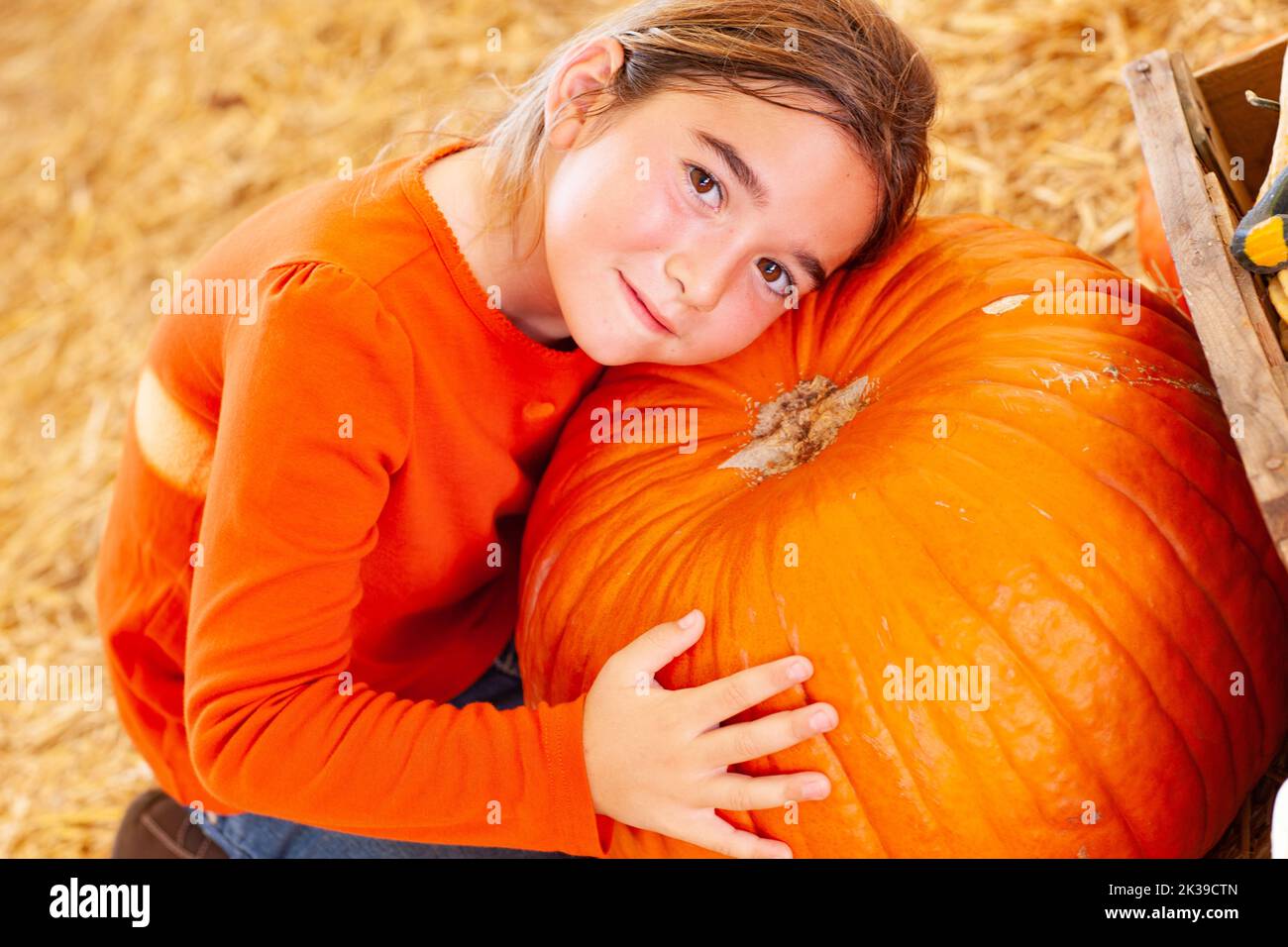 Young Girl Hugging a Big Pumpkin at the Pumpkin Patch Stock Photo - Alamy