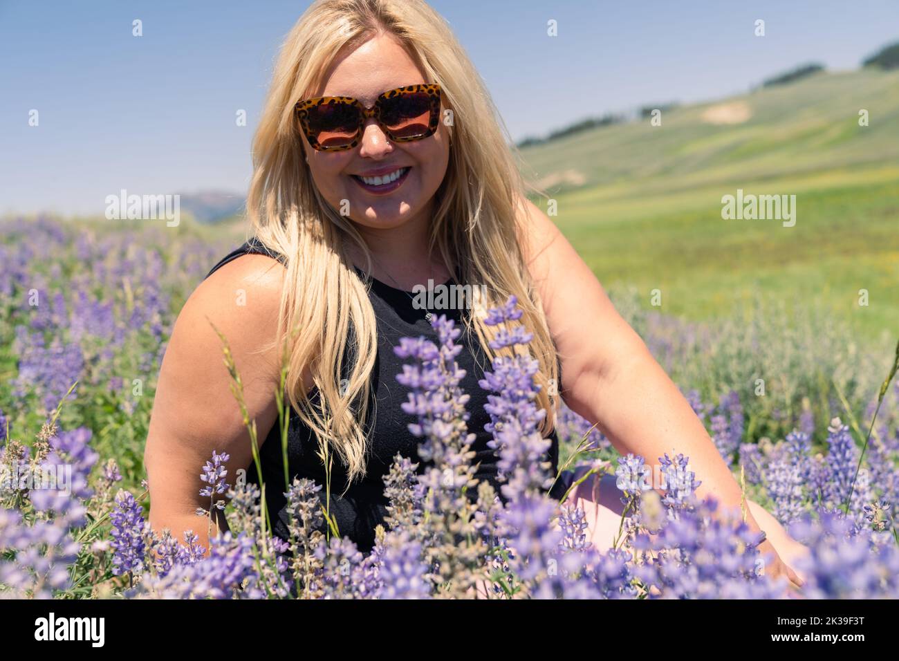 Pretty blonde woman sits in a field of lupine wildflowers, posing with sunglasses and smiling Stock Photo