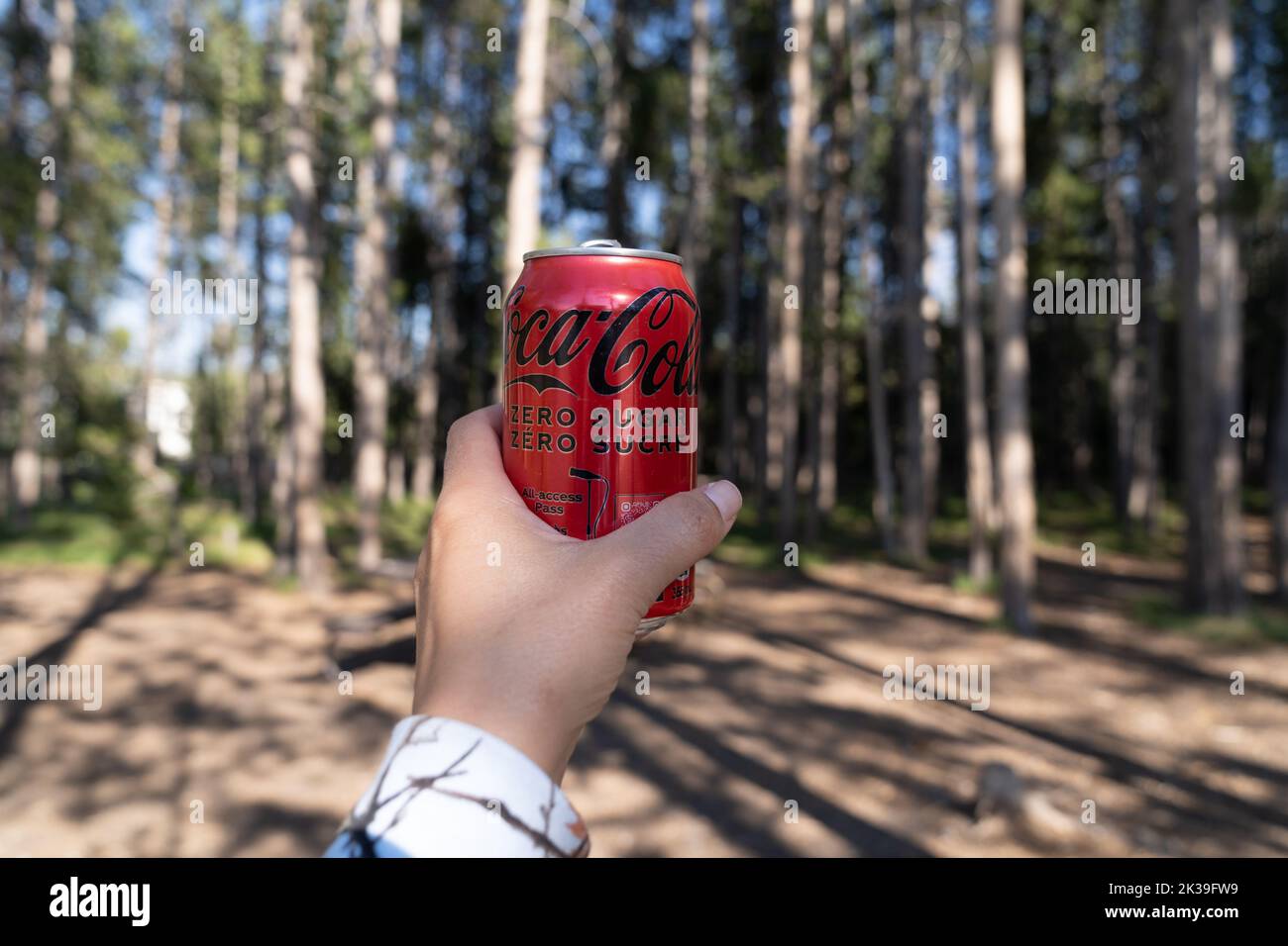 Wyoming, USA - July 19, 2022: Hand holds up a Coca-Cola Zero Sugar can of soda pop, while in the forest Stock Photo